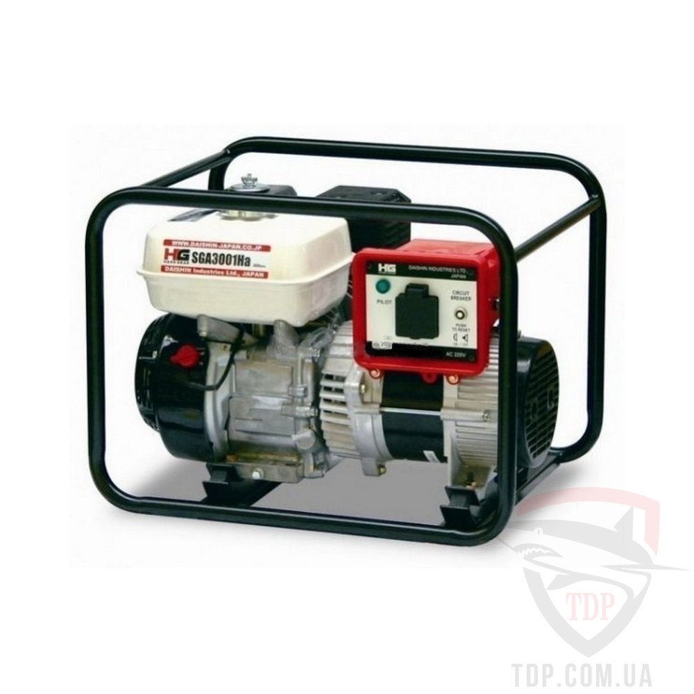 Оборудование Генератор бензиновый Daishin SGA3001Ha